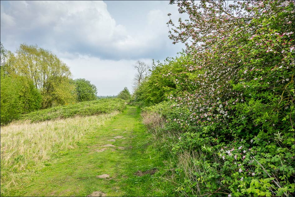North Cave – Andrews Walks